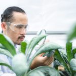 scientist working to research in agriculture green plant at biology science laboratory greenhouse